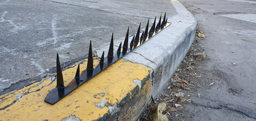Pinches De Seguridad Diente De Tiburon Capital Federal