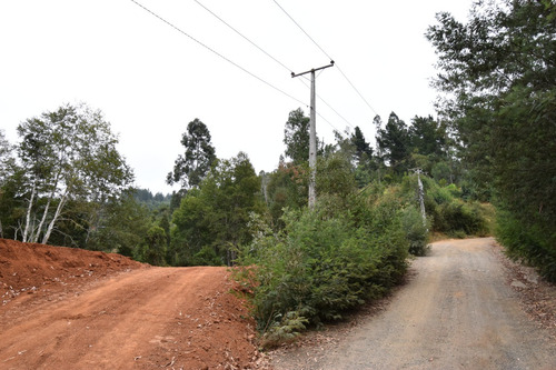 Parcela 5000 M2 A 12 Km De Concepcion