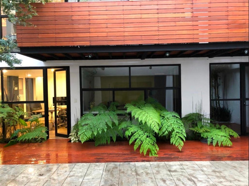 Imagen 13 de 14 de Oficinas En Renta En Lomas De Chapultepec