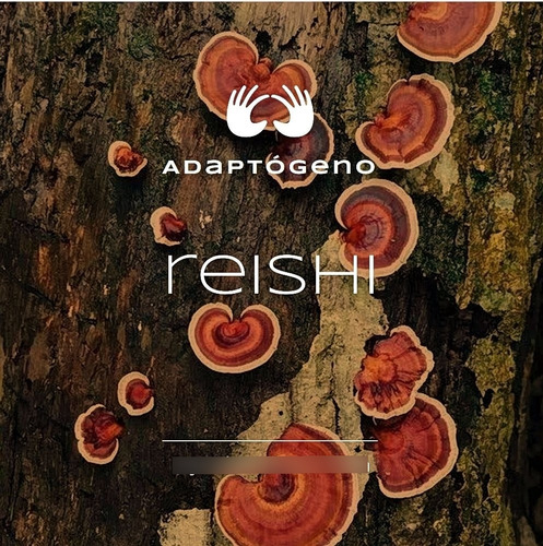 Hongo Reishi 600mg 90 Cápsulas Antiestrés Y Defensa Inmune Sin Sabor
