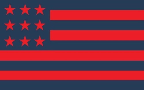 Bandera Flameo San Lorenzo, Oficial 90x150