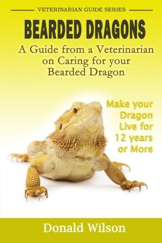 Bearded Dragons  A Guide From A Veterinarian On Caring For Y