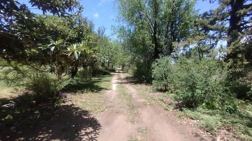 La Ramada, Córdoba (bajo Las Maravillas)