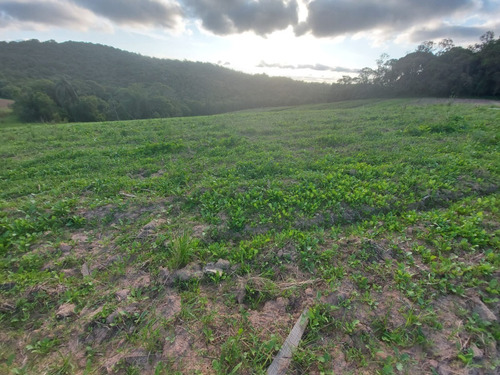 Imagem 5 de 25 de 20o Terreno A Venda Em Cotia
