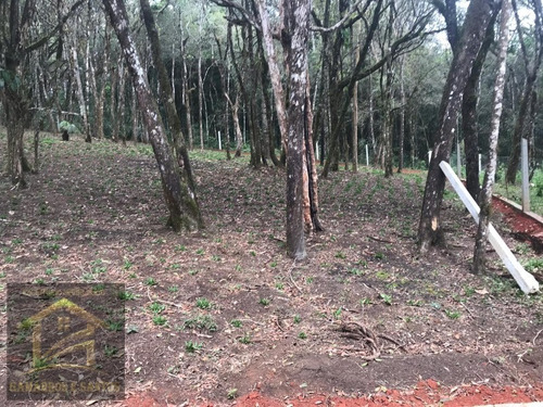 Imagem 4 de 13 de Chácara Com 5.000 M² No Timbu Velho Em Campina Grande Do Sul - Ch00026 - 33581150