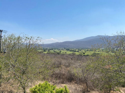 Terreno Rústico En Venta