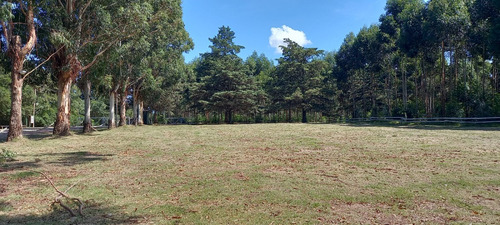 Oportunidad - Terreno A La Venta - Sobre Km26 De Ruta 6 - U$s199000