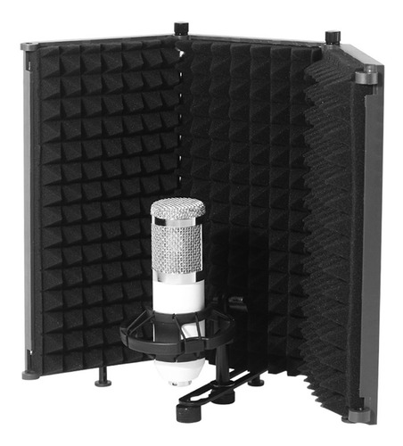 Micrófono Para Grabar Sonido 3 Paneles