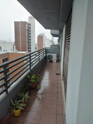 Imagen 3 de 11 de Departamento - Barrio Sur