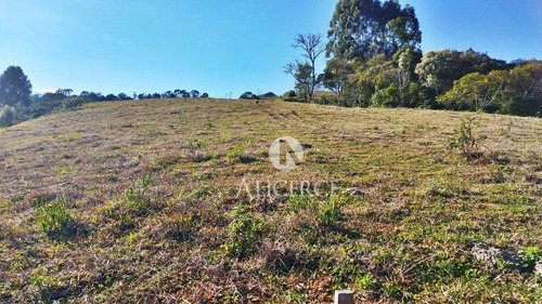 Imagem 1 de 9 de Sítio À Venda, 35000 M² Por R$ 180.000 - Centro - Alfredo Wagner/sc - Si0014
