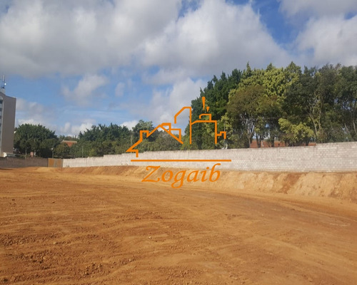 Imagem 7 de 8 de Terreno - Te00052 - 33105751