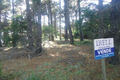 Imagen 3 de 5 de Lote Sobre Elevado Del Nivel De Calle Forestado Predomina Los Pinos
