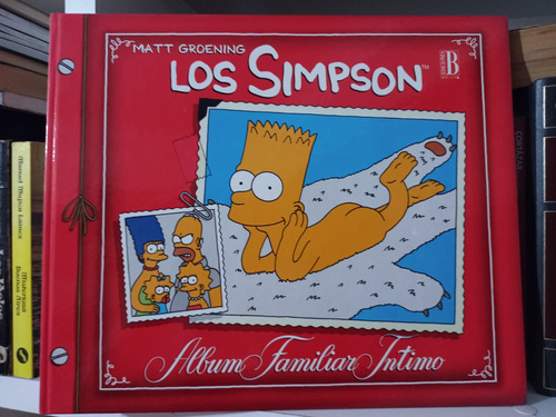 Los Simpson, Álbum Familiar Íntimo, Groening
