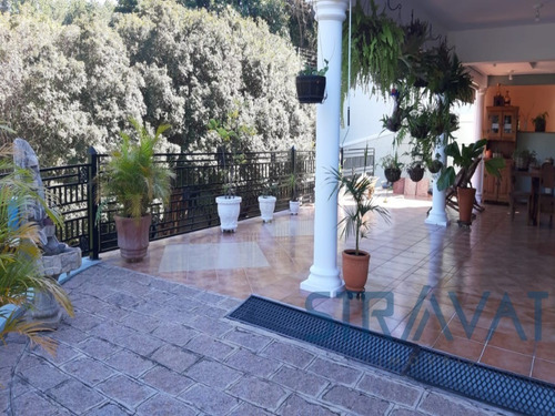 Imagem 13 de 20 de Chacara - Ch00047 - 68495481