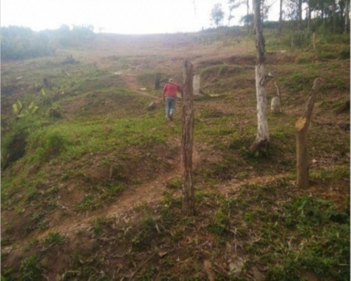 Imagem 1 de 12 de Terreno - Te-27 - 32142525