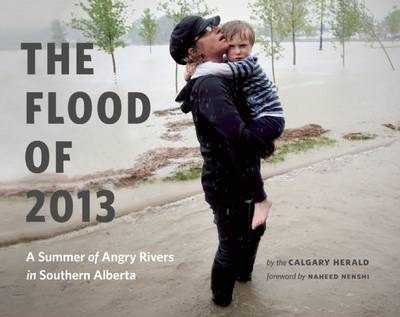 Libro The Flood Of 2013 : A Summer Of Angry Rivers In Sou...