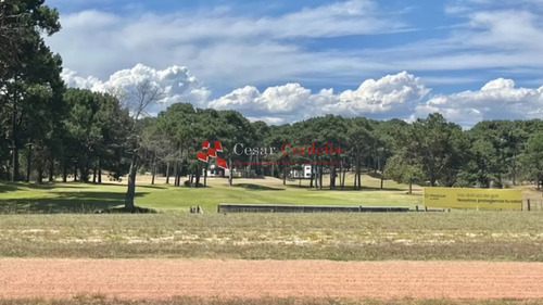 Venta - 36 Hectáreas Sobre Ruta 12 - Solanas - Punta Del Este