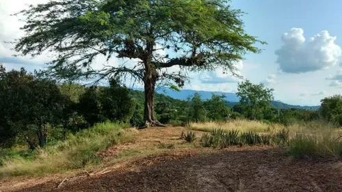 Terreno Con Servicios Públicos, A 10 Min Del Pueblo Tocaima, Cundinamarca