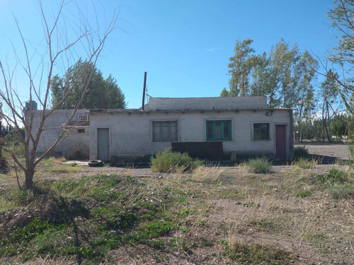 Imagen 11 de 30 de Chacra En Venta Con Casa Y Galpón Cervantes
