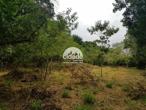 Imagem 6 de 12 de Terreno À Venda, São Cristóvão - Cascavel/pr - 12266