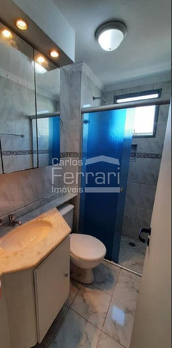 Imagem 2 de 15 de Apartamento Para Locação, Vila Palmeiras, 03 Dormitórios, 01 Suíte, 01 Vaga, Sacada - Cf41966