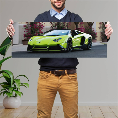 Cuadro 30x80cm Auto 2013 Lamborghini Aventador L 278