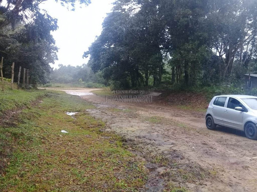 Imagem 3 de 3 de Terreno A Venda Em Itanhaém - Sue43