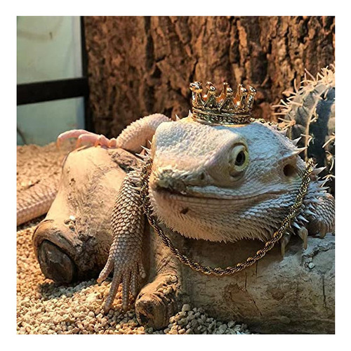 Kunbiuh Juego De 2 Collares Con Corona De Lagarto, Traje De