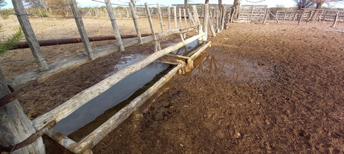 Imagen 11 de 19 de Campo 5000 Ha En El Dpto. Limay Mahuida- La Pampa