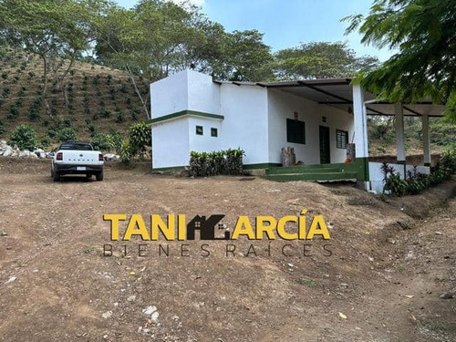 Venta De Propiedad De 65 Hectáreas En Tlaltetela