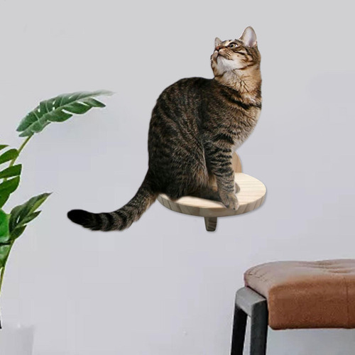 General Poleiro De Gato Montado Na Parede Prateleira