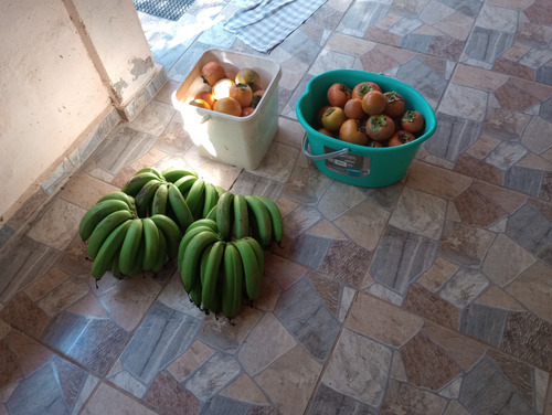 Vendo Linda Chácara (porteira Fechada) Em Jambeiro Direto Com O Proprietário!
