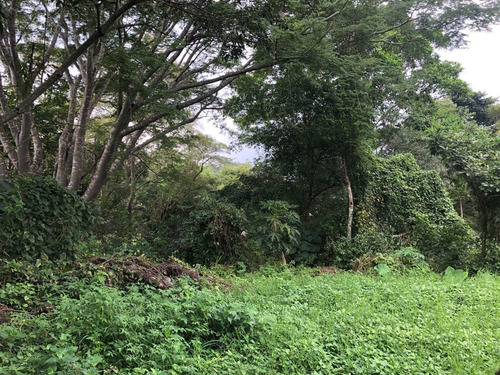 Terreno En Venta En Don Ventura