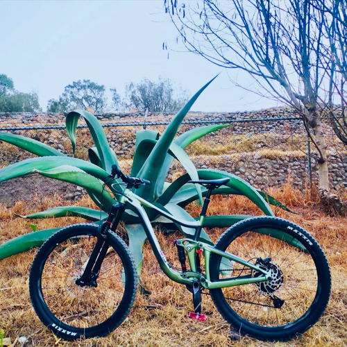 Giant Reign 2020 Enduro Mtb Verde M (Usado)