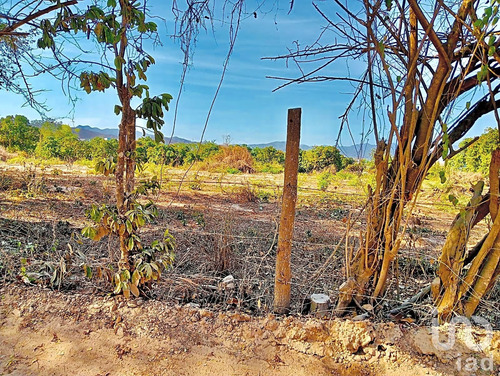 Venta Terreno 0 Ambiente Nuevo Vallarta