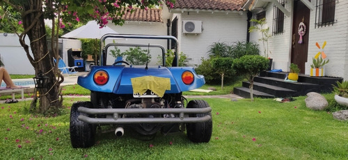 Buggy Puelche