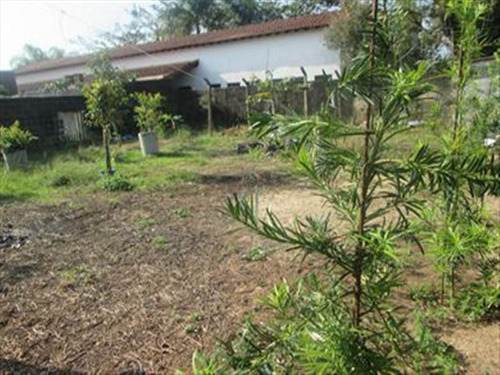 Imagem 3 de 6 de Terreno - Venda - Sao Fernando - Itanhaem - Ita1503