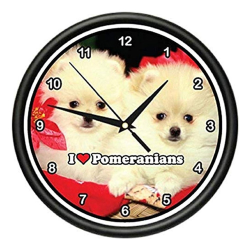 Pomerania Reloj De Pared Pomeranians Perro Mascota Cachorro 