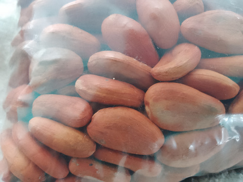 Cacao Seco Criollo 3 Kilos + 500 Gramos De Regalo