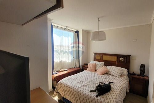 Encantadora Casa En Quilpué: ¡inversión Ideal!