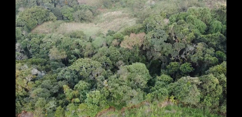 Imagen 11 de 13 de Finca En Venta Via Casa Del Padre Tachira Naciente Vialidad Excelente