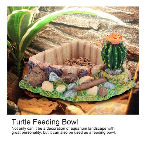 A Comedero For Mascotas, Reptiles, Tortugas, Lagartos, Plato