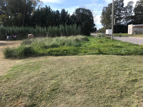 Imagen 1 de 3 de Venta De Terrenos, Muy Buena Ubicación -esperamos Tu Oferta.