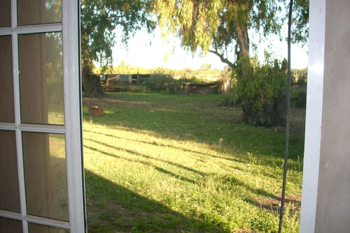 Imagen 3 de 12 de Campo Con Casa En Las Flores ,7 Hectarias,sojero