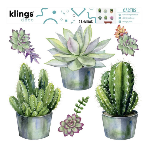 Vinilos Decorativos Cactus Suculentas Plantas Macetas