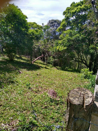 Imagem 7 de 7 de Terreno Para Venda Em Gamboa Garopaba-sc - Tv811