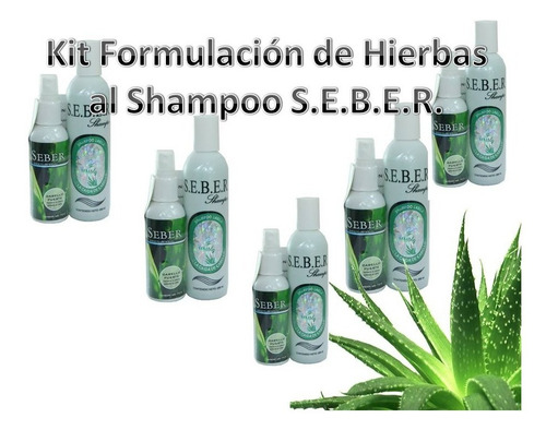 Seber Shampoo Y Revitalizador 5 Piezas