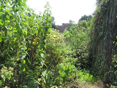 Terreno En Venta En Pedregal