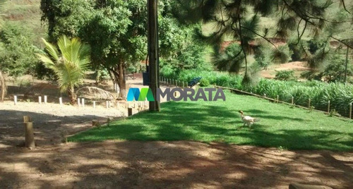 Imagem 3 de 5 de Fazenda - Zona Rural - Ref: 3061 - V-mta3061