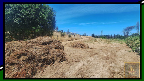 Terreno En Curali,santa Juana , Con Estero (99143)